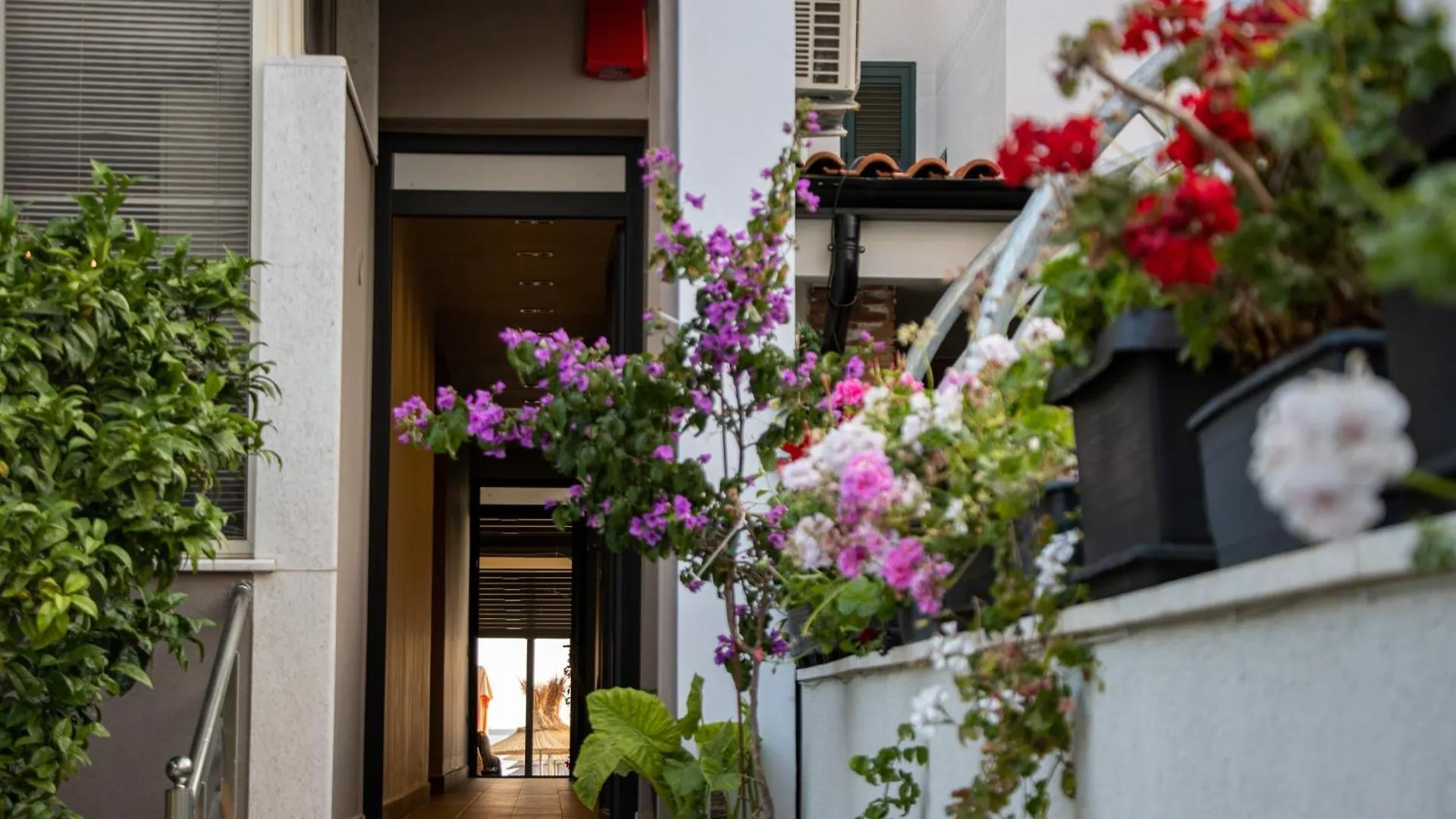 Vila Dea Durrës Penzion